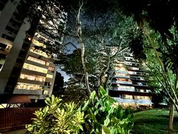 Hillcrest Arcadia (D11), Condominium #559255311